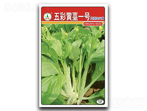 ����Ș1̖-��̦�N��-�d�߷N�I