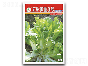 ����S޷3̖-��̦�N��-�d�߷N�I