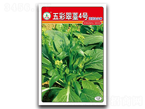 ��ʴ�̦4̖-��̦�N��-�d�߷N�I