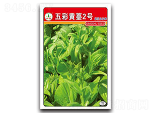 �Ș2̖-��̦�N��-�d�߷N�I