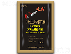 ΢�������-�۱�-�Еx