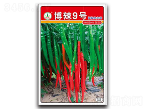 ����9̖-�����N��-�d�߷N�I