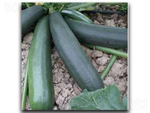 ������̖-�����J�N��-�մ��r�I