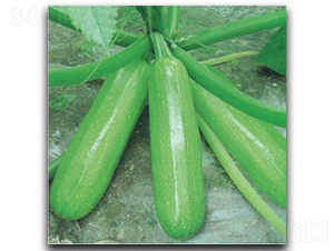 ����̫��-�����J�N��-�մ��r�I