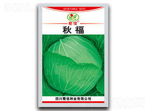 �︣-���˷N��-���ŷN�I