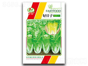 �����ӿ��2̖-��˷N��-���ŷN�I