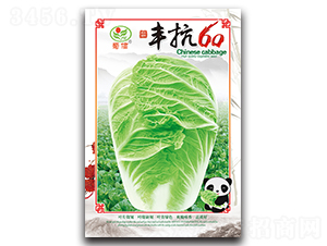 �S��60-�ײ˷N��-���ŷN�I