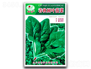 ����A�~����-���˷N��-���ŷN�I