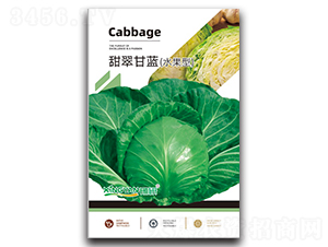 �����{(l��n)-���{(l��n)�N��-���зN�I(y��)