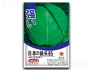 �ձ��F�^65-���{(l��n)�N��-���зN�I(y��)