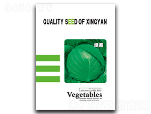 �G��-���{(l��n)�N��-���зN�I(y��)