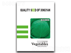 ���m������-���{(l��n)�N��-���зN�I(y��)