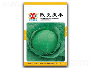 �����c�S-���{(l��n)�N��-���зN�I(y��)