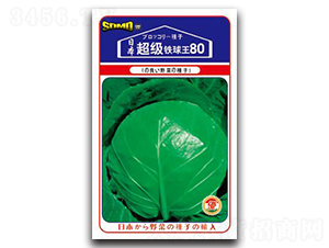 ����(j��)�F����80-���{(l��n)�N��-���зN�I(y��)