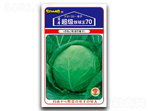 ����(j��)�F����70-���{(l��n)�N��-���зN�I(y��)