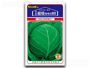 ����(j��)�F����60-���{(l��n)�N��-���зN�I(y��)