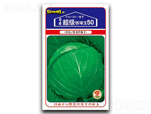 ����(j��)�F����50-���{(l��n)�N��-���зN�I(y��)