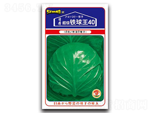 ����(j��)�F����40-���{(l��n)�N��-���зN�I(y��)