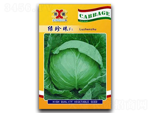 �G����-���{�N��-���зN�I