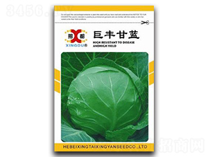 ���S���{-���{�N��-���зN�I