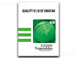 ����-���{�N��-���зN�I