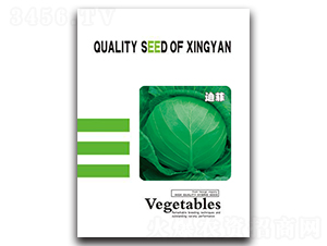 �Ϸ�-���{�N��-���зN�I