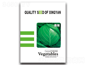 ϲ��-���{�N��-���зN�I