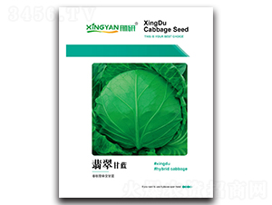 ���-���{�N��-���зN�I