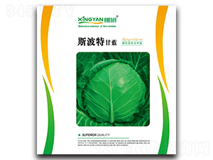 ˹����-���{�N��-���зN�I