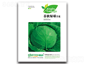 ����G��-���{�N��-���зN�I