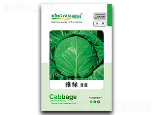 �žG-���{�N��-���зN�I