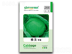 ����-���{�N��-���зN�I