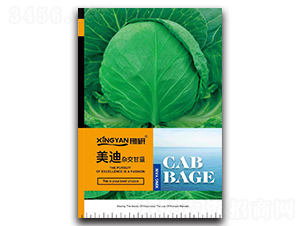 ����-���{�N��-���зN�I