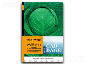 ���m-���{�N��-���зN�I