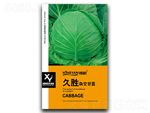 �Ä�-���{�N��-���зN�I