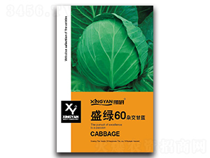 ʢ�G60-���{�N��-���зN�I