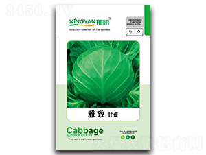 ����-���{�N��-���зN�I