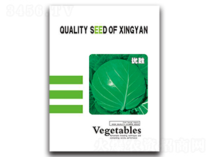 ����-���{�N��-���зN�I