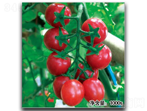 �F����HT11051��-���ѷN��-�մ��r�I