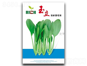 �����uë��-�uë�˷N��-����N�I