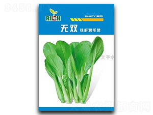 �o�p�uë��-�uë�˷N��-����N�I