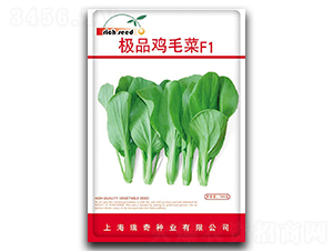 �OƷ-�uë�˷N��-����N�I