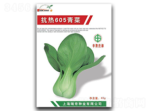 ����605-��˷N��-����N�I