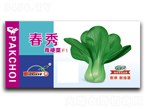 ����-��˷N��-����N�I