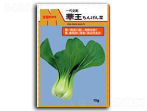 �A��-��˷N��-����N�I