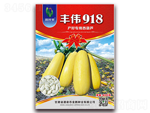 �S��918F1-���������J�N��-���i�N�I