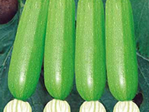 �䬓-���������J�N��-���i�N�I