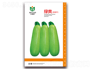 �Gˬ-���������J�N��-���i�N�I