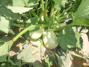 ���18̖-�����J�N��-����r�I