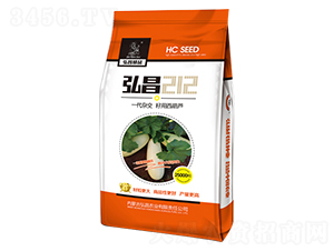 ���212-�����J�N��-����r�I